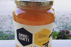api_miele_21