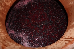 cantina_19