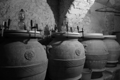 cantina_29