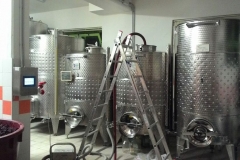 cantina_32